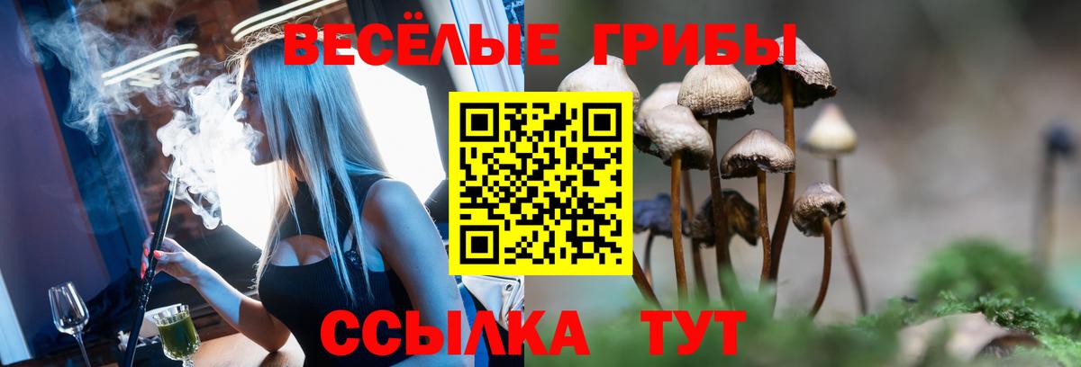 Псилоцибиновые грибы Psilocybine cubensis Подольск